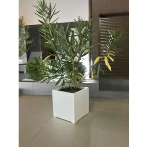 Donica tarasowa D992C w kolorze biały połysk