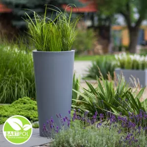 Donica Habana M w kolorze szarym