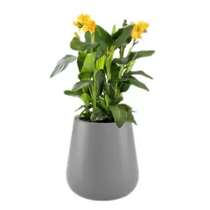 szara okragla donica 50 cm lago z kanna zolta