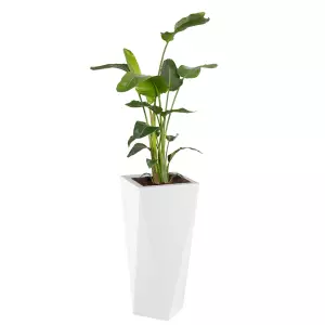 wysoka geometryczna donica vaso 72 i strelicja nikolai