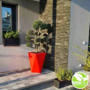 Bonsai jałowiec formowany w czerwonej donicy Vaso na tarasie