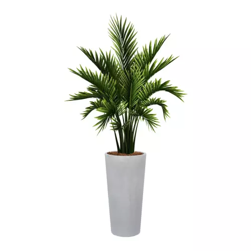 Palma w szaro betonowej donicy D208D (śr. 38 x 76 cm)