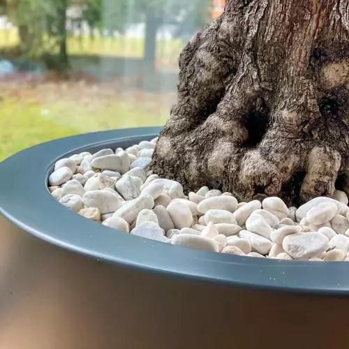 Donica D901ED antracyt mat - idealna dla dużej oliwki