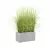 Trawy w szaro betonowej donicy D834