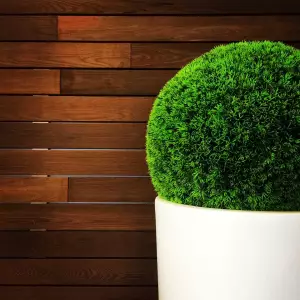 biała okrągła donica do cisa formowanego