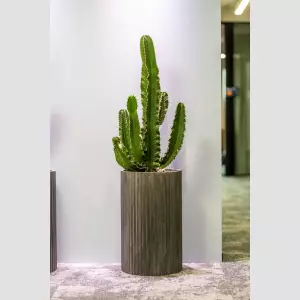 grafitowa okrągła donica do kaktusa