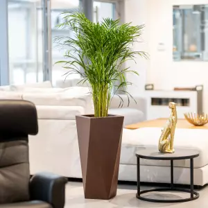 brazowa donica 72 cm w salonie