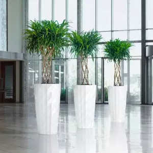 Designerskie donice do hotelu