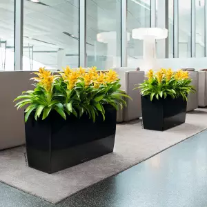 Czarna biurowa donica z systemem nawadniania