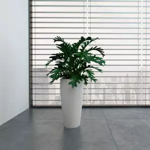 Biała wysoka okrągła donica do salonu