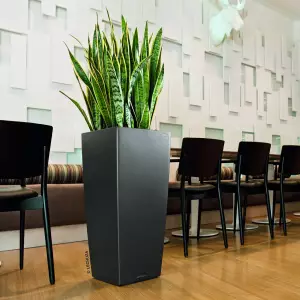 Donice samopodlewające do biura