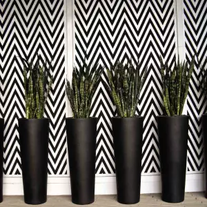 Wysokie czarne donice do domu