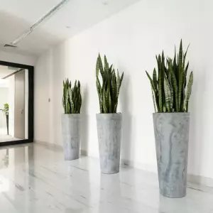 Wysokie szare donice na korytarz