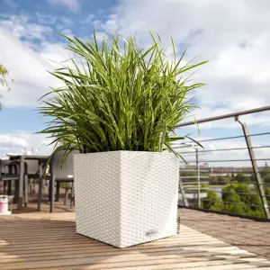 Tarasowa biała donica z systemem nawadniania