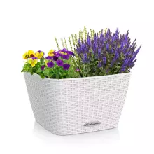 Donica Lechuza BACINO Cottage 30 biały