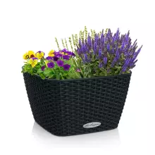 Donica Lechuza BACINO Cottage 30 grafitowy czarny