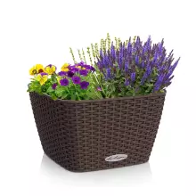 Donica Lechuza BACINO Cottage 30 mokka