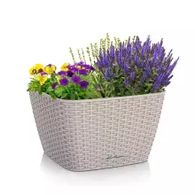 Donica Lechuza BACINO Cottage 30 piaskowy brąz