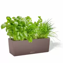 Doniczka Lechuza BALCONERA Color 50 muszkatołowy brąz