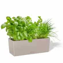 Doniczka Lechuza BALCONERA Color 50 piaskowy brąz