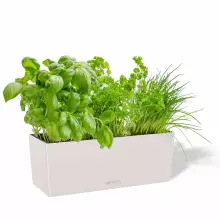 Doniczka Lechuza BALCONERA Color 50 jasny szary