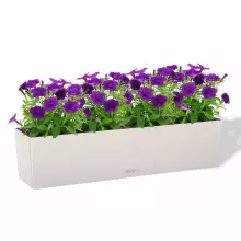 Doniczka Lechuza BALCONERA Color 80 jasny szary