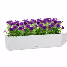 Donica Lechuza BALCONERA Stone 80 biały kwarcowy