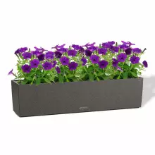 Donica Lechuza BALCONERA Stone 80 grafitowy czarny