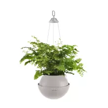 Doniczka Lechuza BOLA Color 23 piaskowy brąz