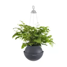 Doniczka Lechuza BOLA Color 23 szary