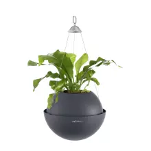 Doniczka Lechuza BOLA Color 32 szary