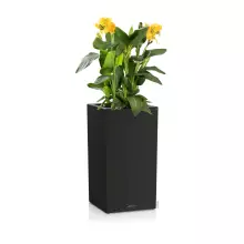 Donica Lechuza CANTO Slatestone Kolumna 30 ciemny szary