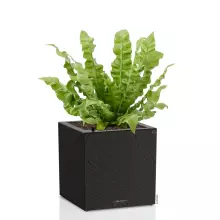 Donica Lechuza CANTO Slatestone Kostka 30 ciemny szary