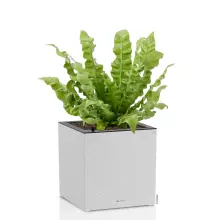 Donica Lechuza CANTO Slatestone Kostka 30 jasny szary