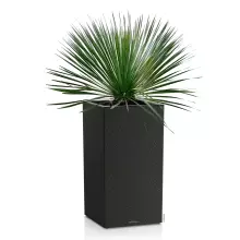 Donica Lechuza CANTO Slatestone Kolumna 40 ciemny szary