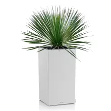 Donica Lechuza CANTO Slatestone Kolumna 40 jasny szary