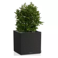 Donica Lechuza CANTO Slatestone Kostka 40 ciemny szary