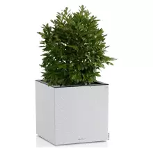 Donica Lechuza CANTO Slatestone Kostka 40 jasny szary