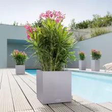 Donica Lechuza CANTO Stone Kostka 40 szary kamień