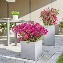 Donica Lechuza CANTO Stone Kostka 30 szary kamień