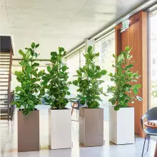 Donica Lechuza CANTO Premium Kolumna 40 biały połysk