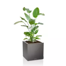 Donica Lechuza CANTO Premium Kostka 40 LED antracyt metalik