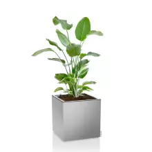 Donica Lechuza CANTO Premium Kostka 40 LED srebrny metalik