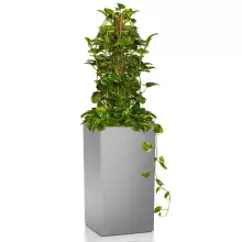 Donica Lechuza CANTO Premium Kolumna 40 srebrny metalik