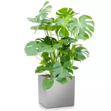 Donica Lechuza CANTO Premium Kostka 40 srebrny metalik