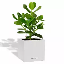 Donica Lechuza CANTO Stone 14 biały kwarcowy