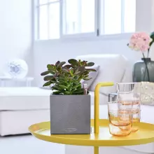 Donica Lechuza CANTO Stone 14 szary kamień