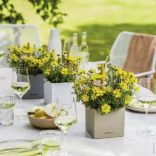 Donica Lechuza CANTO Stone 14 piaskowy beż