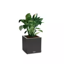 Donica Lechuza CANTO Stone Kostka 30 LED grafitowy czarny