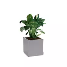 Donica Lechuza CANTO Stone Kostka 30 LED szary kamienny